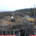 06_55-nest.jpg