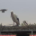 07_05-mast.jpg