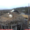 07_05-nest.jpg