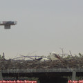 07_30-mast.jpg