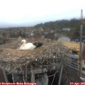 07_40-nest.jpg