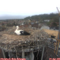 08_15-nest.jpg