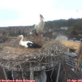08_35-nest.jpg