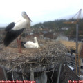 08_45-nest.jpg