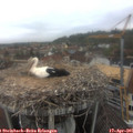09_30-nest.jpg