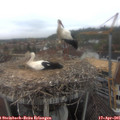 09_35-nest.jpg