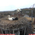 09_40-nest.jpg