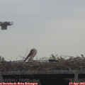 10_05-mast.jpg