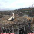10_05-nest.jpg