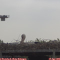 10_15-mast.jpg