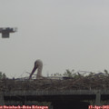 10_20-mast.jpg