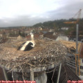 10_25-nest.jpg
