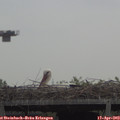 10_30-mast.jpg