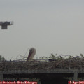 10_35-mast.jpg