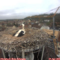 10_35-nest.jpg