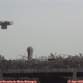10_40-mast.jpg