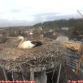 10_55-nest.jpg