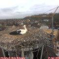 11_25-nest.jpg