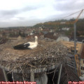 11_30-nest.jpg