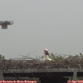 12_05-mast.jpg