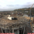 12_05-nest.jpg