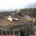 12_15-nest.jpg