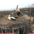 12_30-nest.jpg