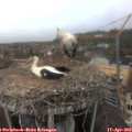 12_35-nest.jpg