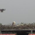 13_05-mast.jpg