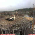 13_20-nest.jpg