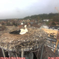 13_25-nest.jpg