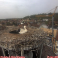 13_35-nest.jpg