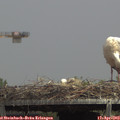 14_00-mast.jpg