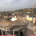 14_10-nest.jpg
