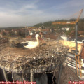 14_30-nest.jpg