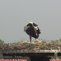 14_35-mast.jpg