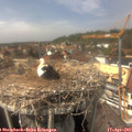 14_40-nest.jpg
