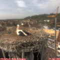 15_05-nest.jpg