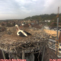 15_20-nest.jpg