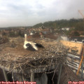 15_25-nest.jpg