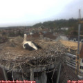 15_40-nest.jpg