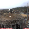 15_45-nest.jpg