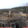 15_50-nest.jpg