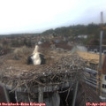 15_55-nest.jpg