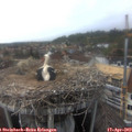 16_05-nest.jpg
