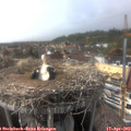 16_10-nest.jpg