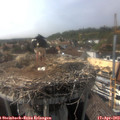 16_20-nest.jpg