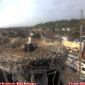 16_25-nest.jpg