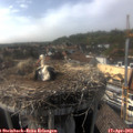16_35-nest.jpg