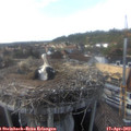 16_45-nest.jpg